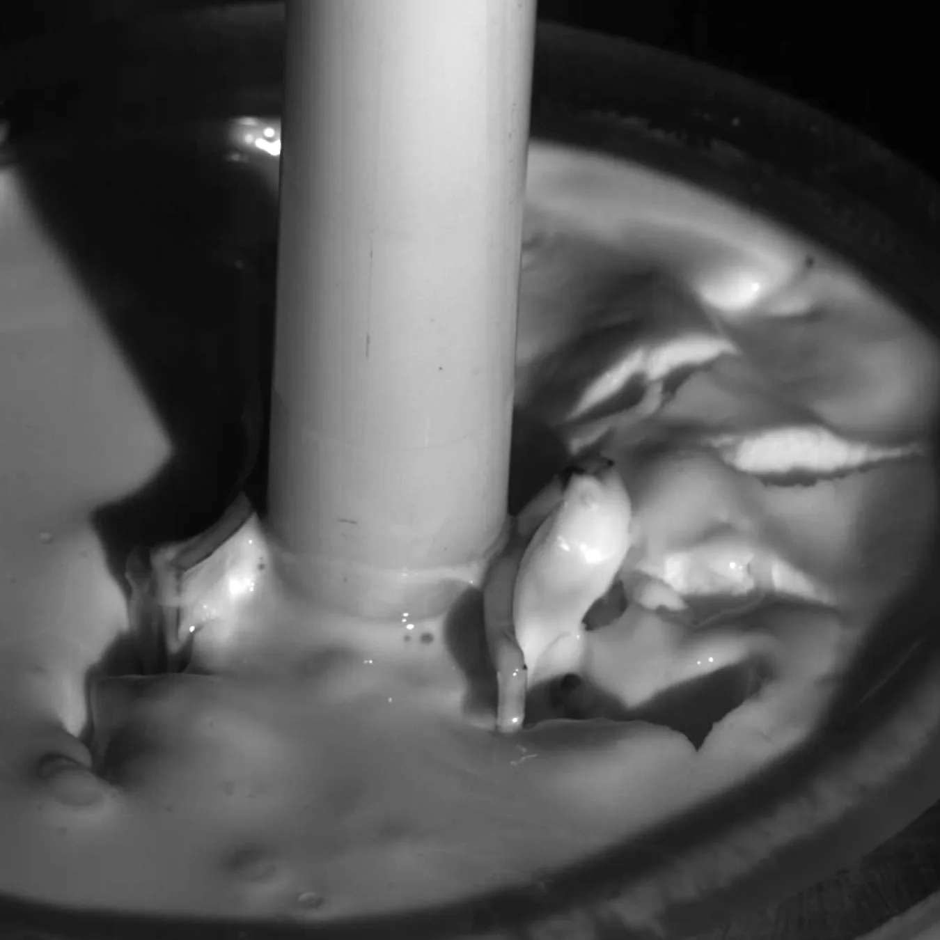 Jamming and Cracking of Cornstarch Suspension Under Shear