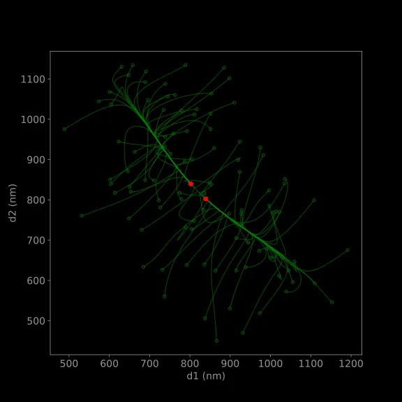 Two Neighboring Dynamical Attractors in Optical Matter