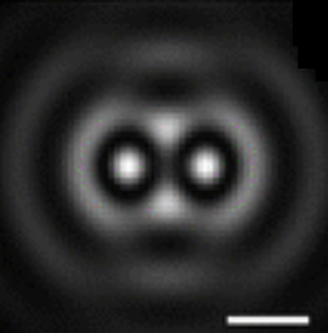 Electrodynamic Interference and Induced Polarization in Nanoparticle-Based Optical Matter Arrays
