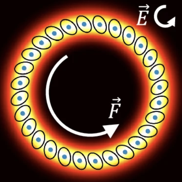 Symmetry breaking-induced N-body electrodynamic forces in optical matter systems