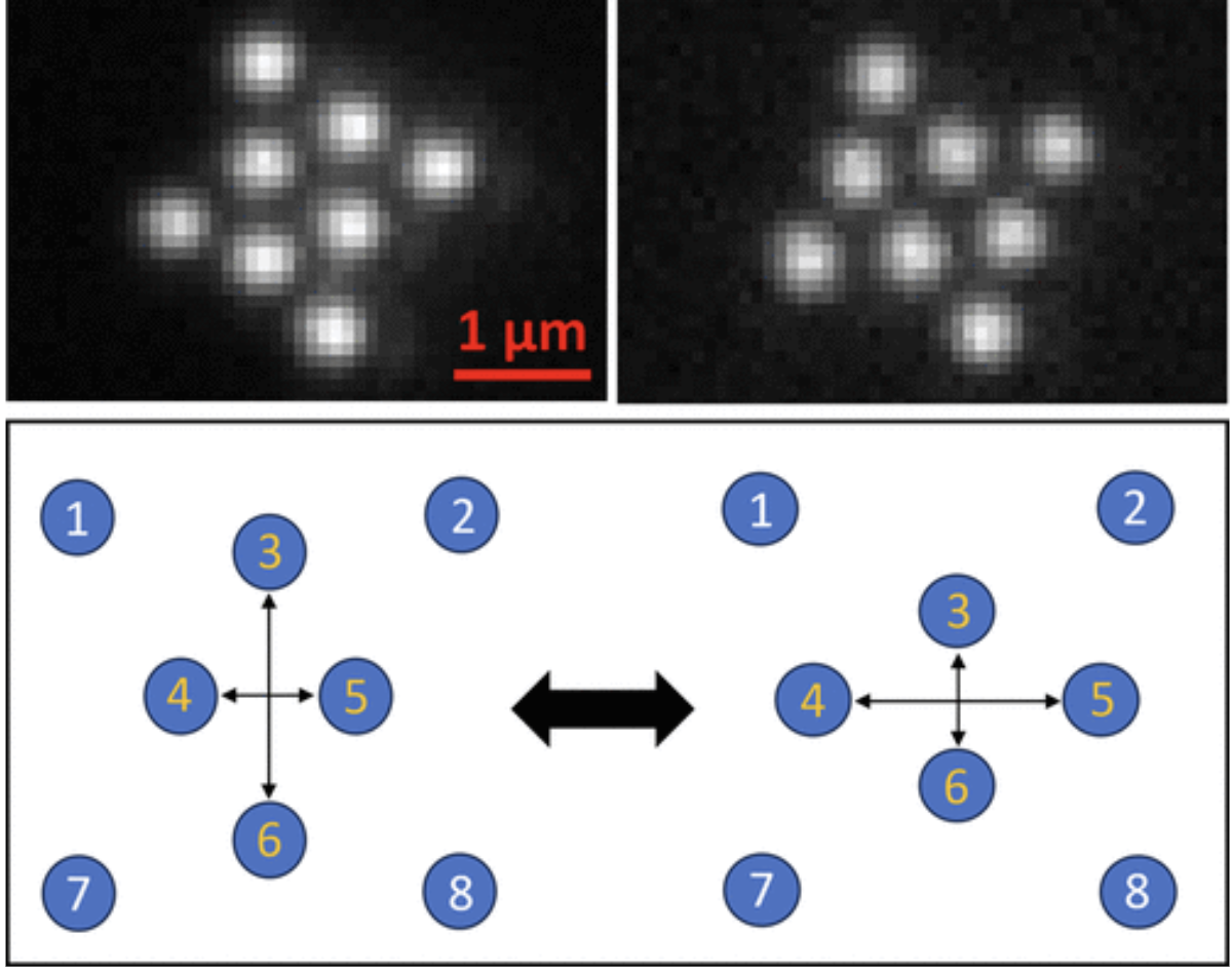 Non-Equilibrium Dynamics and Non-Gaussian Fluctuations of an Optical Matter System Manifesting Pseudorotation